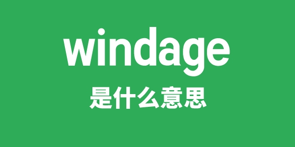 windage是什么意思