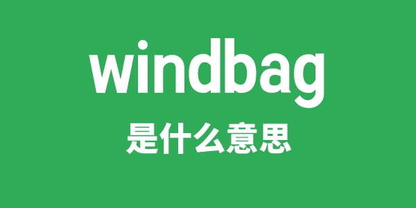 windbag是什么意思