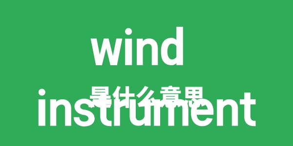 wind instrument是什么意思