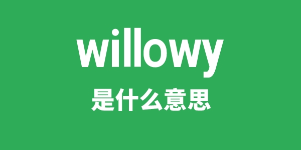 willowy是什么意思