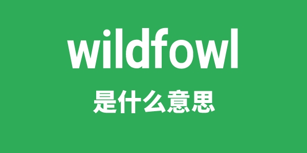 wildfowl是什么意思