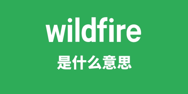 wildfire是什么意思