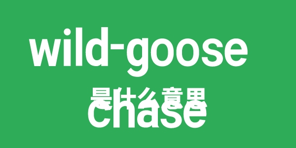 wild-goose chase是什么意思