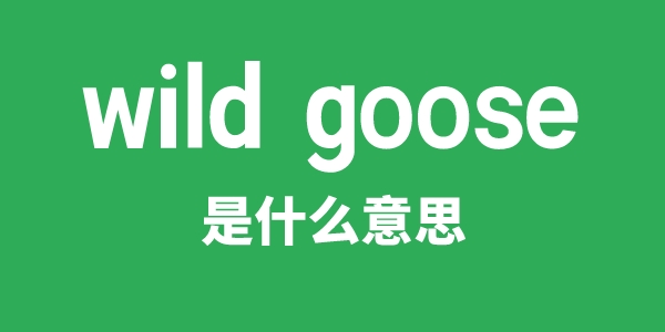 wild goose是什么意思