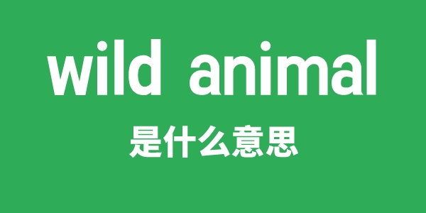 wild animal是什么意思