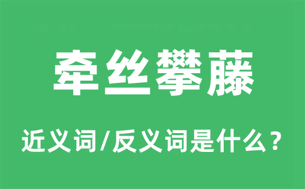 牵丝攀藤的近义词和反义词是什么,牵丝攀藤是什么意思