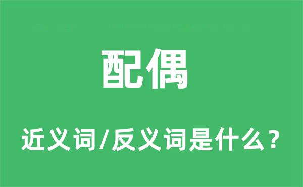 配偶的近义词和反义词是什么,配偶是什么意思