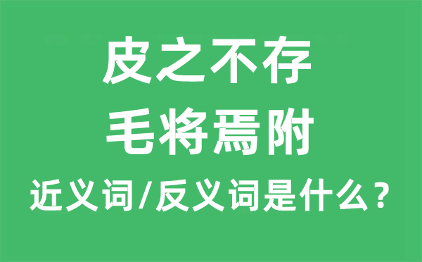 皮之不存，毛将焉附的近义词和反义词是什么,皮之不存，毛将焉附是什么意思