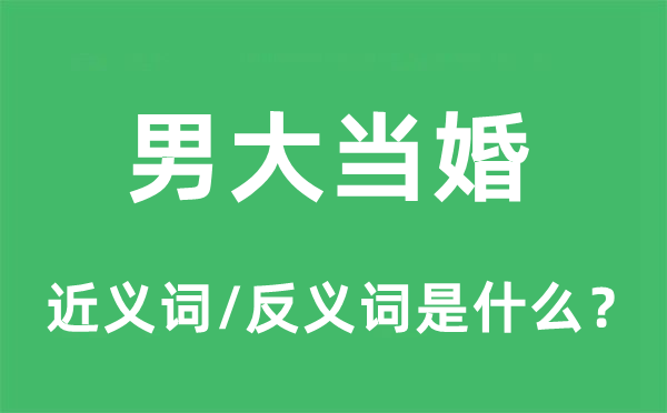 男大当婚的近义词和反义词是什么,男大当婚是什么意思