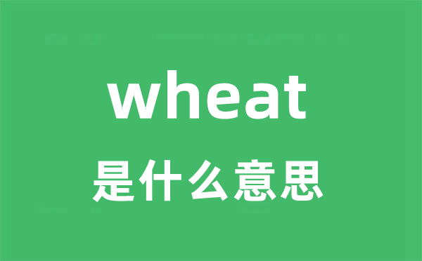 wheat是什么意思