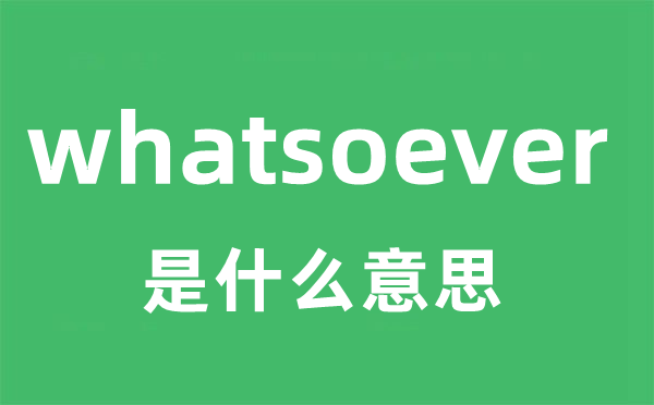 whatsoever是什么意思