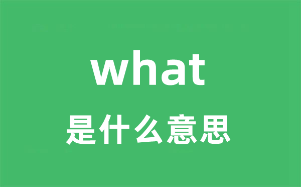 what是什么意思