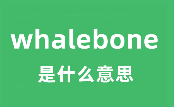 whalebone是什么意思