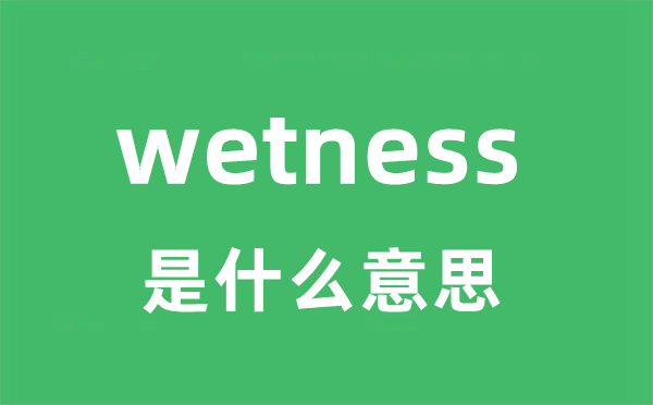 wetness是什么意思