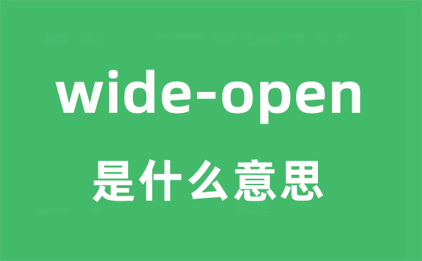 wide-open是什么意思