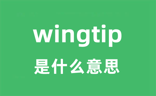 wingtip是什么意思