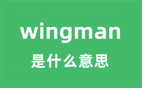 wingman是什么意思