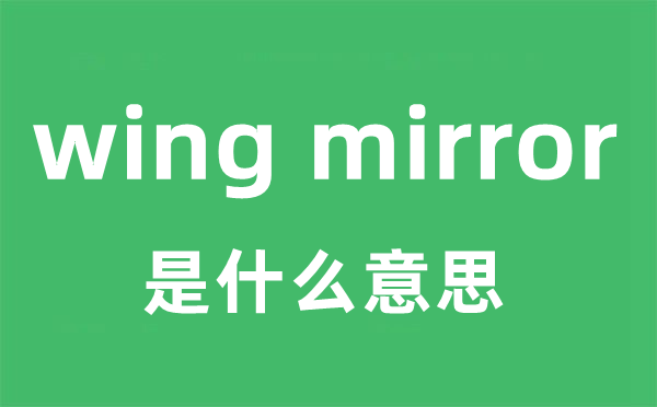 wing mirror是什么意思