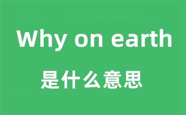 Why on earth是什么意思