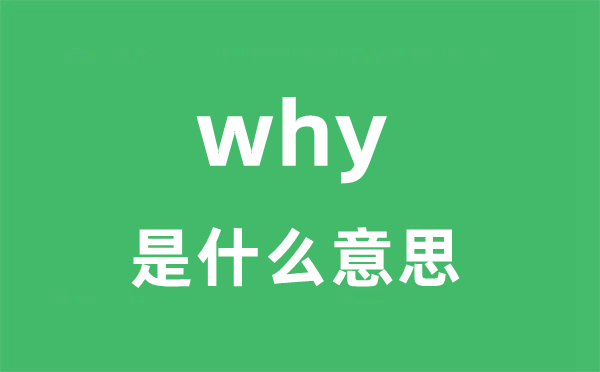 why是什么意思