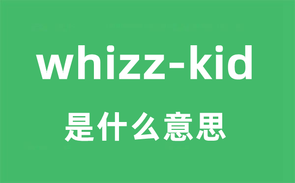 whizz-kid是什么意思