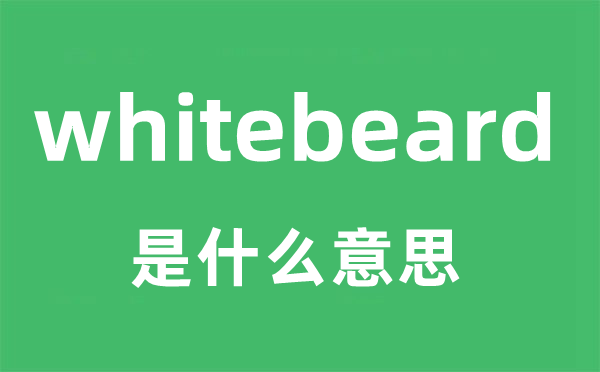 whitebeard是什么意思