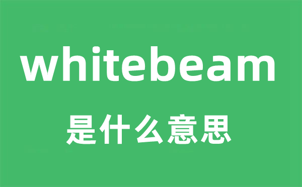 whitebeam是什么意思