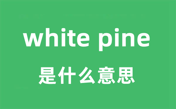 white pine是什么意思