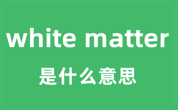 white matter是什么意思