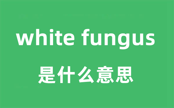 white fungus是什么意思