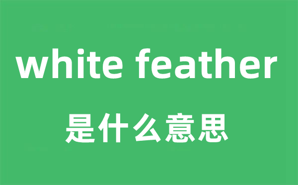 white feather是什么意思