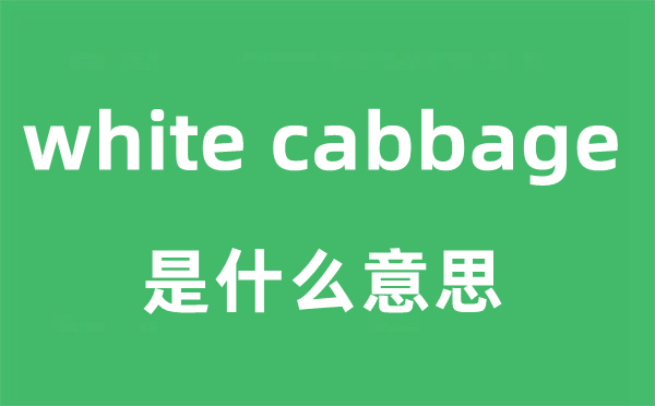 white cabbage是什么意思