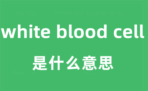 white blood cell是什么意思