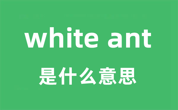 white ant是什么意思