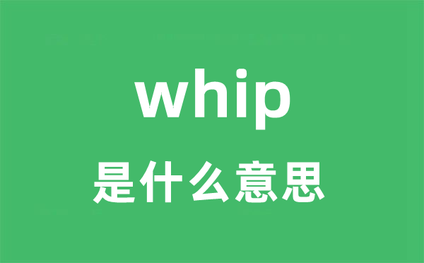 whip是什么意思