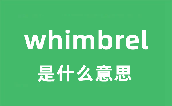 whimbrel是什么意思