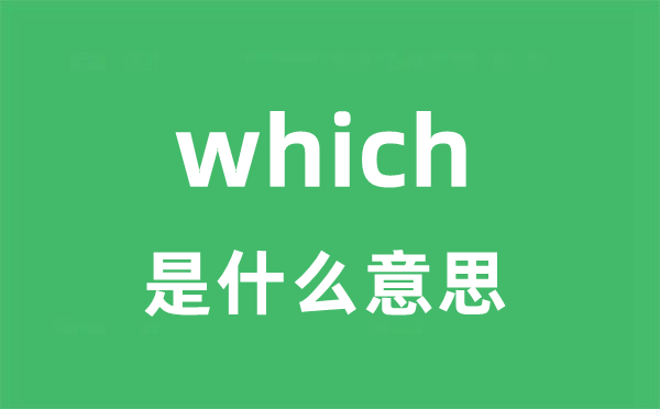 which是什么意思