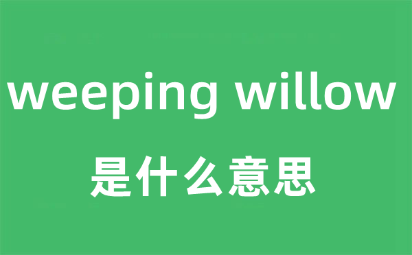 weeping willow是什么意思