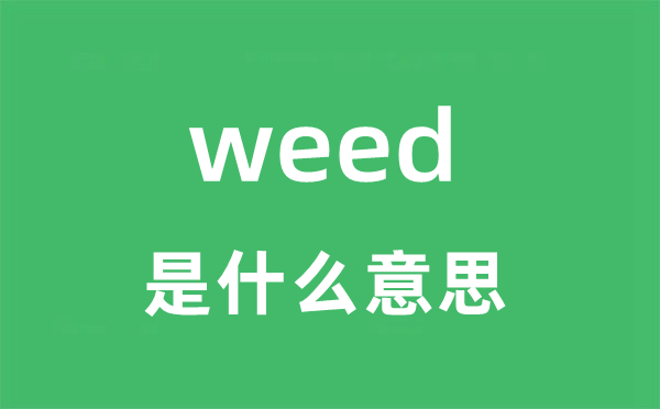 weed是什么意思