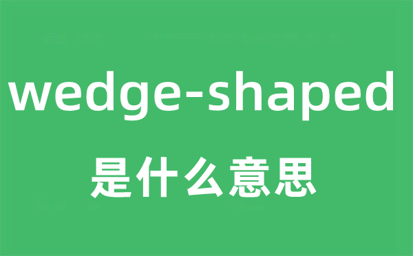 wedge-shaped是什么意思