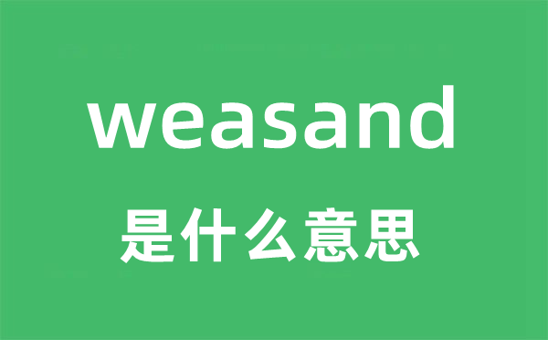 weasand是什么意思