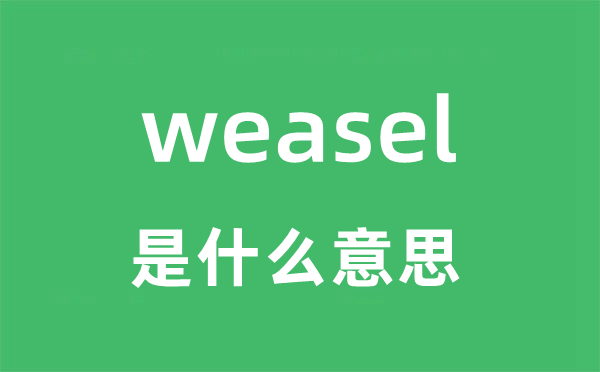 weasel是什么意思