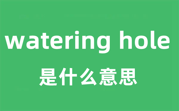 watering hole是什么意思