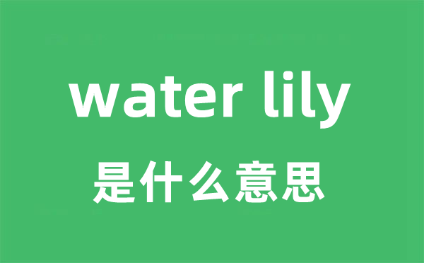 water lily是什么意思