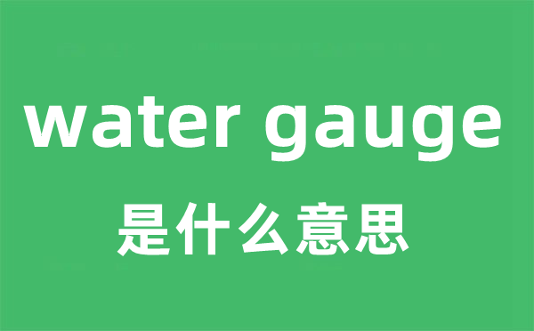 water gauge是什么意思