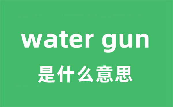 water gun是什么意思