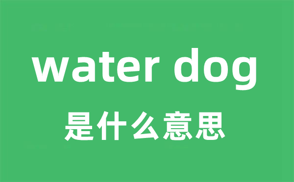 water dog是什么意思