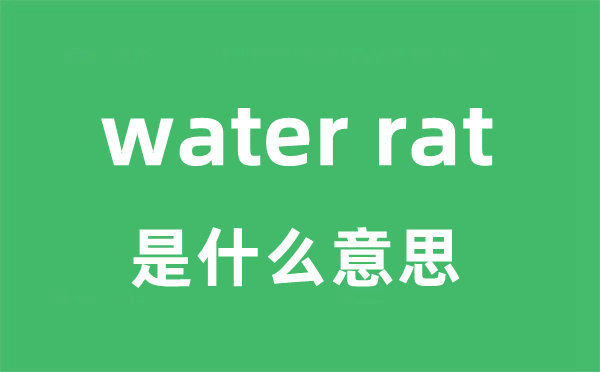 water rat是什么意思