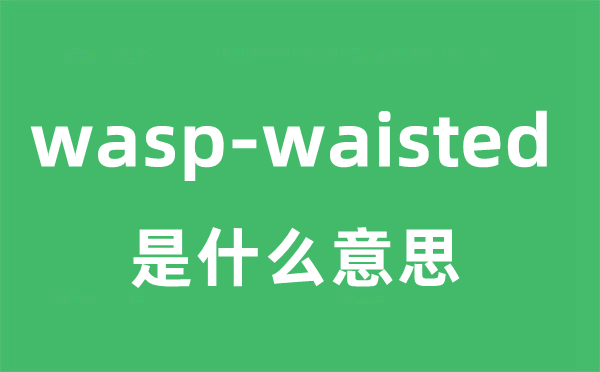 wasp-waisted是什么意思