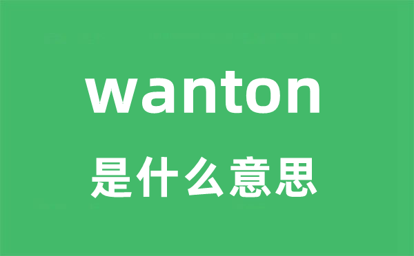 wanton是什么意思